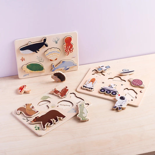 Houten puzzels